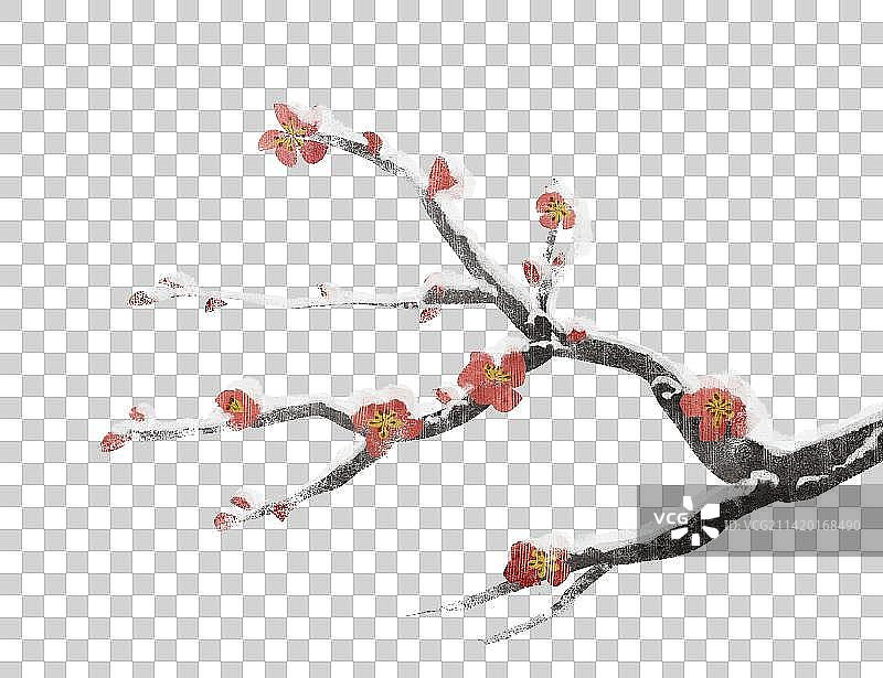 冬季腊梅插画元素图片素材