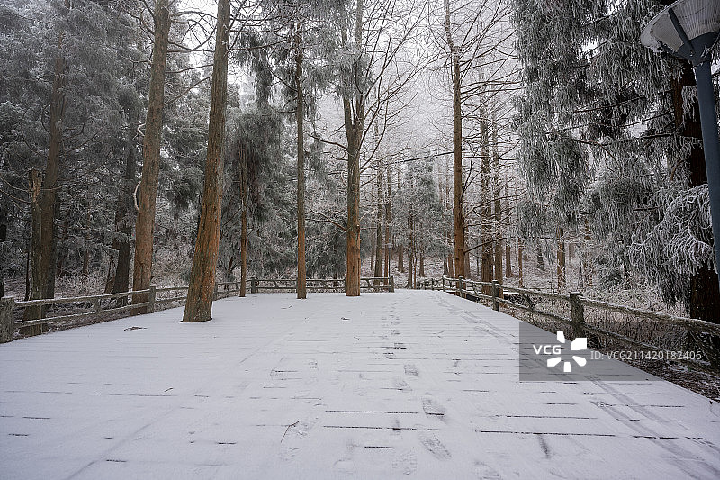 雪后高山森林公园人工步行道图片素材