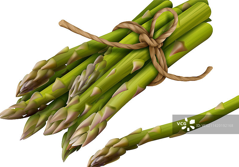 逼真芦笋图片素材