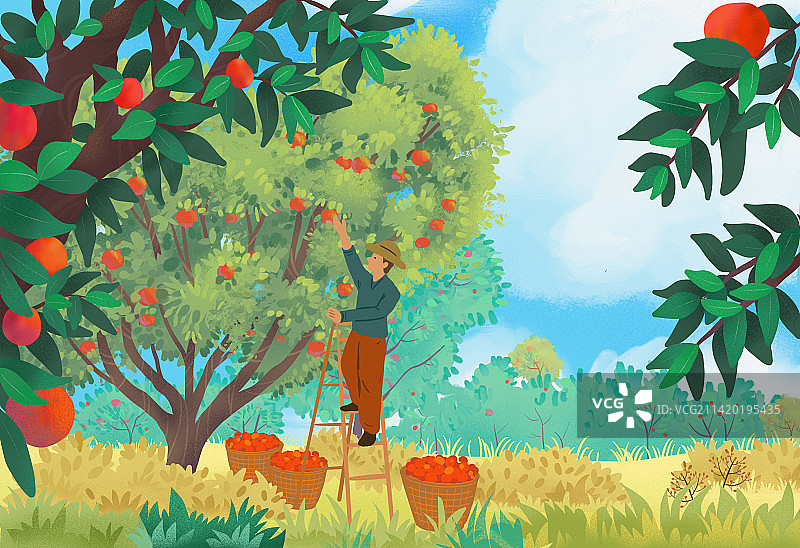 果园采摘图片素材