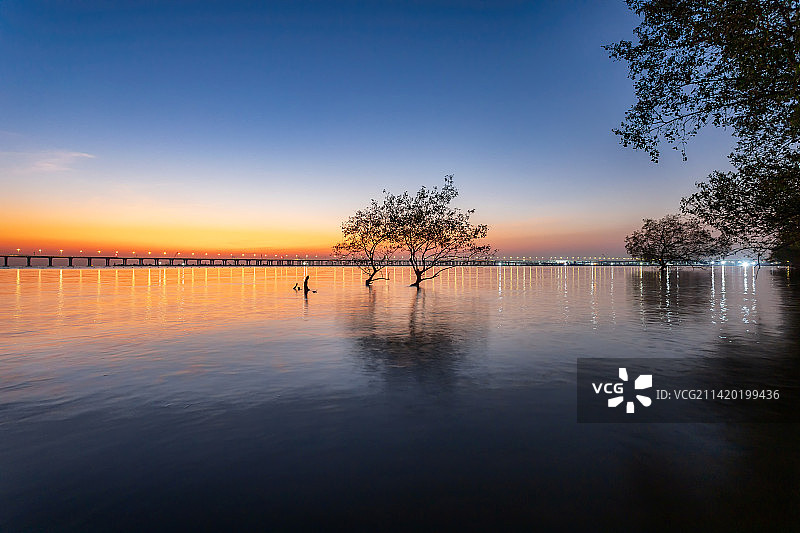 深圳西湾红树林湿地公园日落美景图片素材