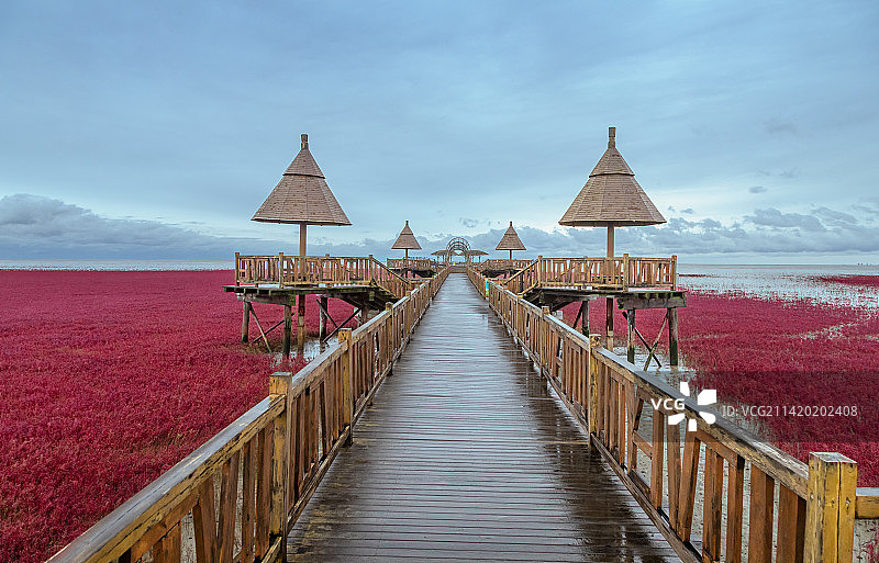 盘锦红海滩，红海滩国家风景廊道，红色的湿地图片素材