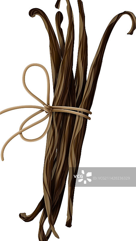 香草豆捆图片素材