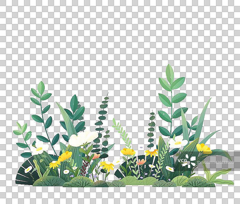 春天盛开的小草和花丛图片素材