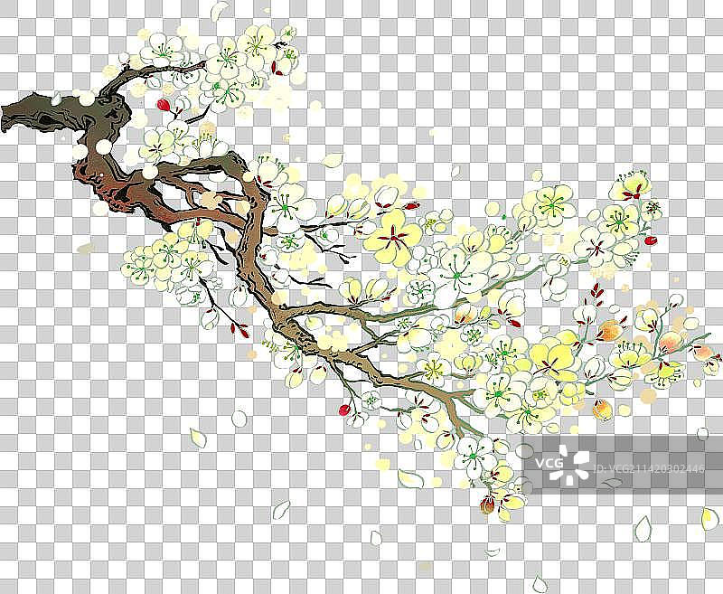 树枝上开满了白色花朵2图片素材