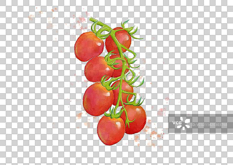 新鲜水果小番茄图片素材