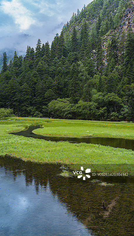 九寨沟熊猫海风景（Jiuzhaigou Panda Sea scenery）图片素材