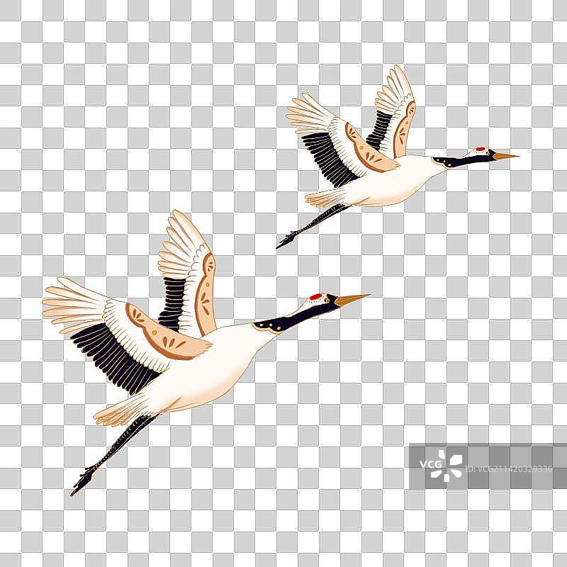 两只仙鹤在半空中飞翔图片素材