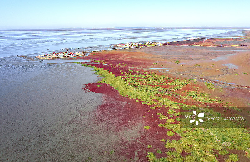 红海滩航拍视角，红海滩国家风景廊道，盘锦红海滩图片素材