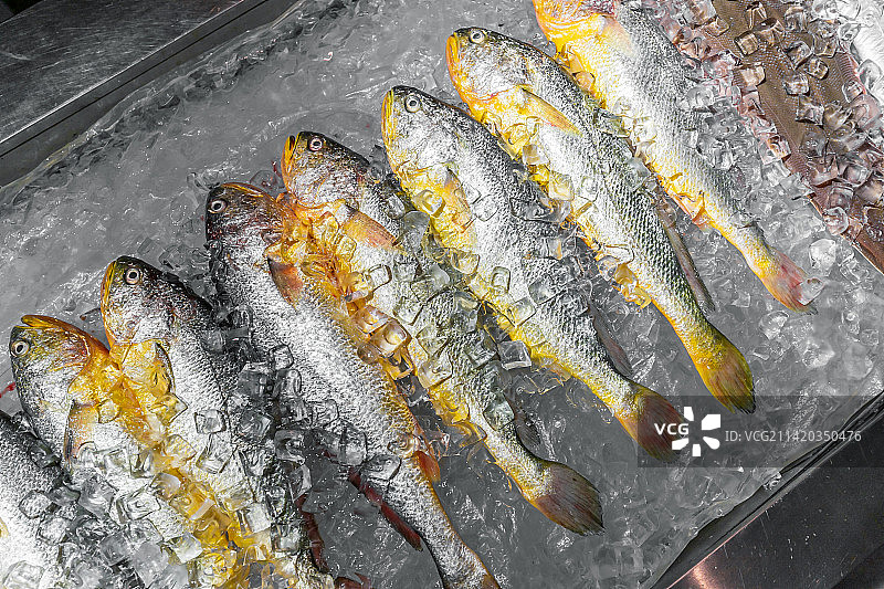 市场上出售的黄鱼的特写镜头图片素材