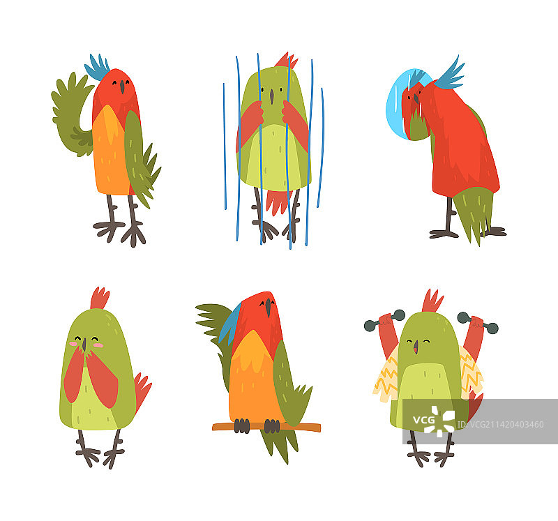 鹦鹉鸟类宠物角色素材图片素材