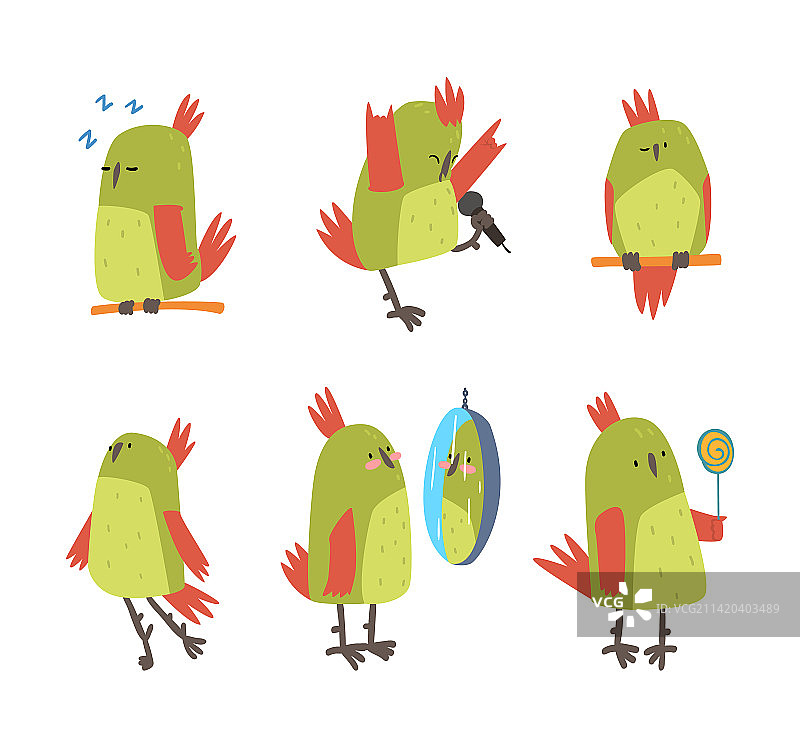 趣味鹦鹉鸟类宠物素材图片素材