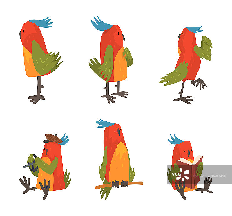 鹦鹉鸟类宠物角色素材图片素材