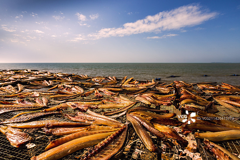 海南东方墩头村鱼民晒鱼干图片素材