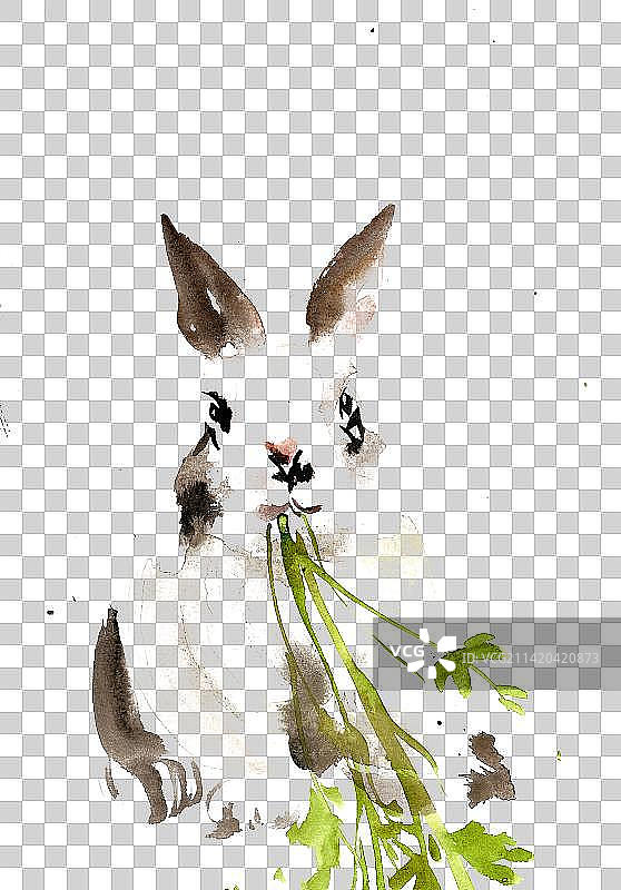 吃芹菜的兔子图片素材