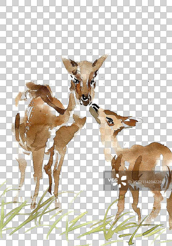 亲昵的小鹿图片素材