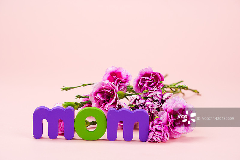 母亲节康乃馨图片素材