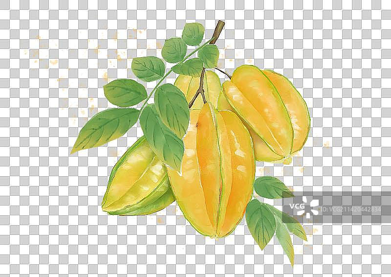 新鲜水果杨桃图片素材