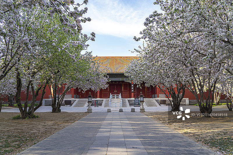 北京故宫文华殿西府海棠图片素材