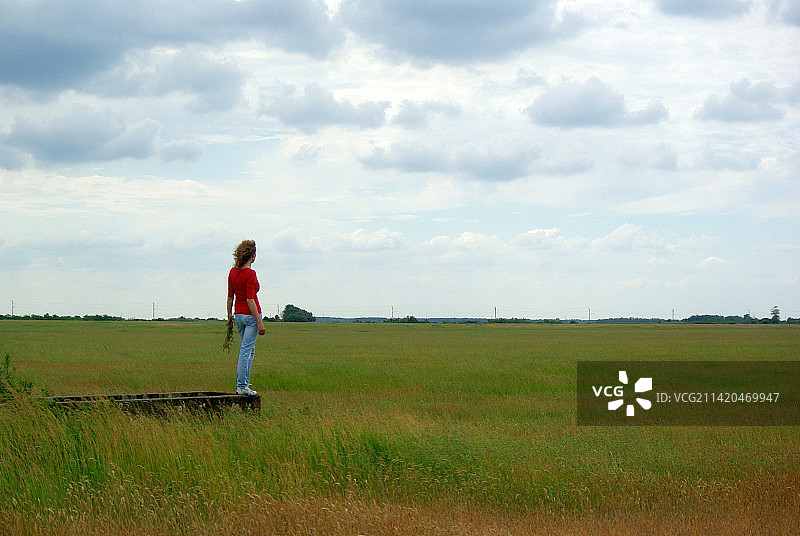 女子站在匈牙利久洛的田野上，以天空为背景的背影图片素材