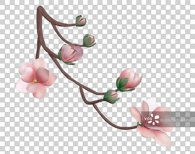 立春-玉兰花-3d立体元素图片素材