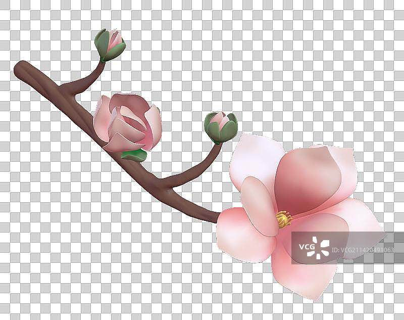 立春-玉兰花-3d立体元素图片素材