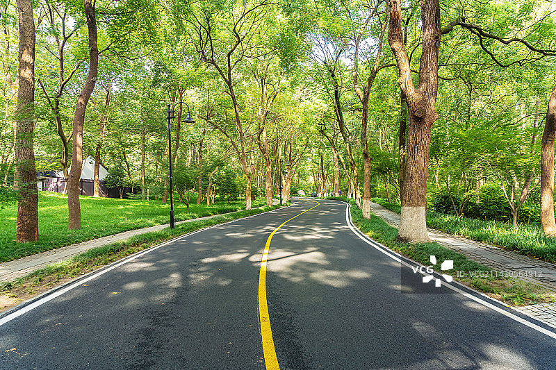 城市园林公路天际线图片素材