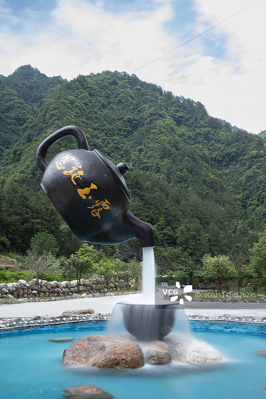 恩施玉露图片素材