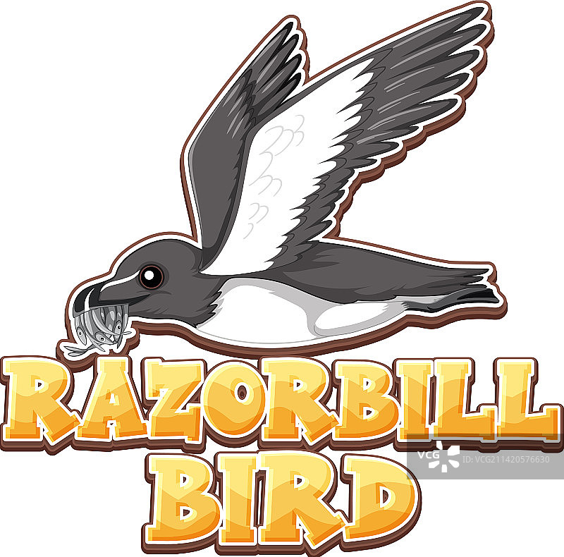 卡通风格的海雀鸟标志图片素材