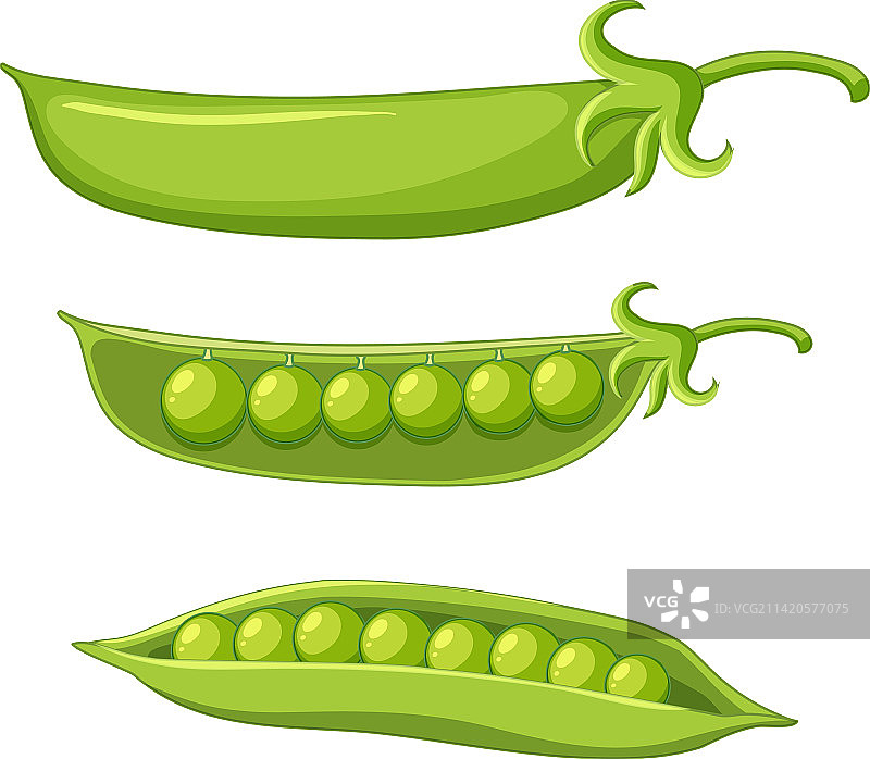 豆荚里的绿色豌豆图片素材