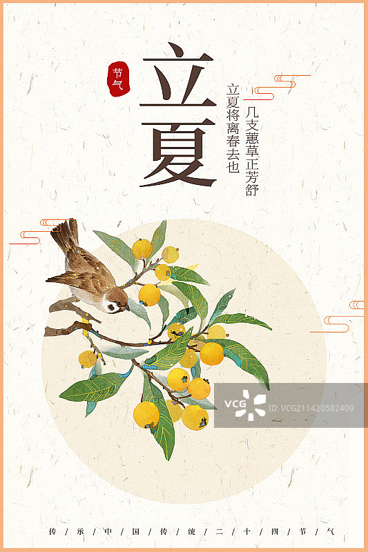 立夏枇杷插画海报图片素材