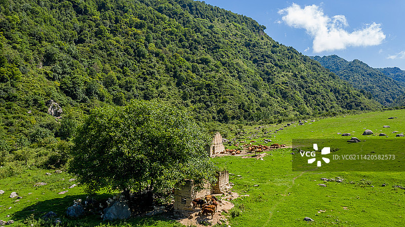 留坝狮子沟牧场图片素材