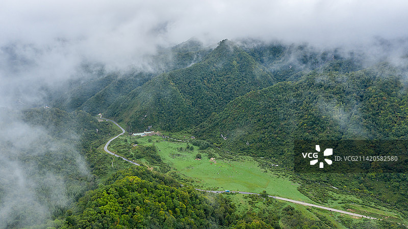 留坝狮子沟牧场图片素材