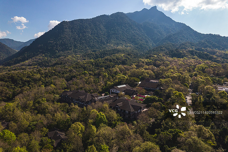 五指山冬季红叶图片素材