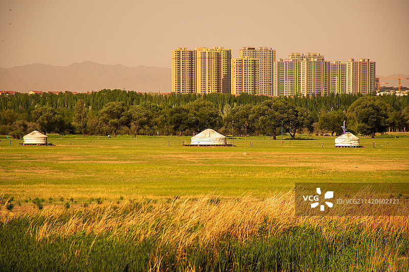 中国内蒙古包头市赛罕塔拉城中草原秋日风光图片素材