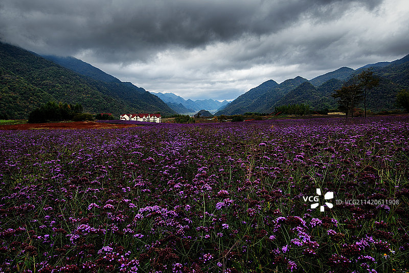 重庆巫溪红池坝风光图片素材