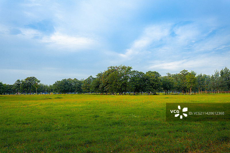 西安汉长安城未央宫遗址公园风光图片素材