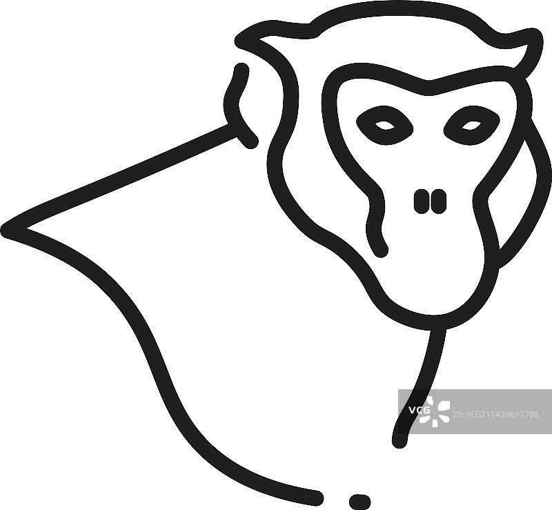 猴头线性肖像丛林动物图标图片素材