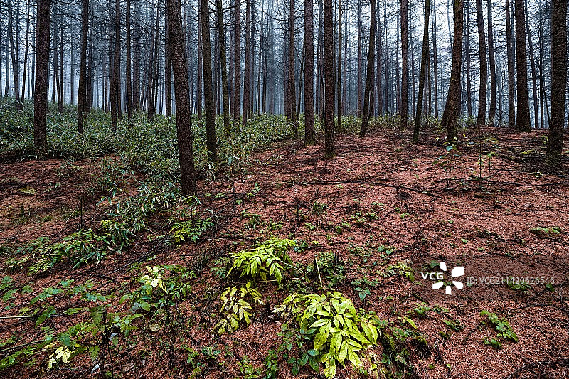 重庆巫山风光图片素材