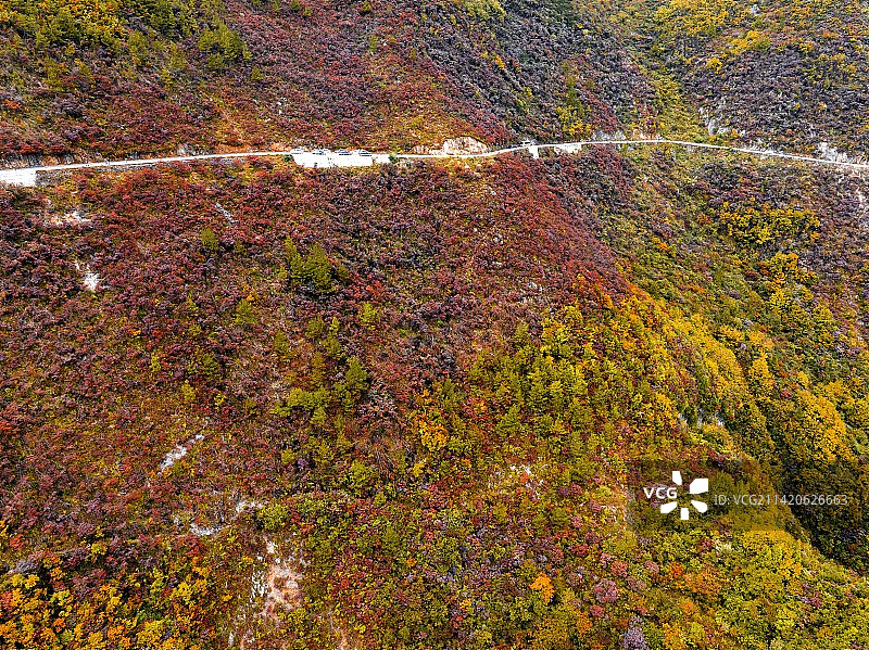重庆巫溪兰英大峡谷秋色图片素材
