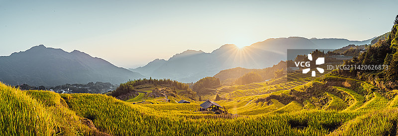 浙江丽水市云和梯田风光图片素材