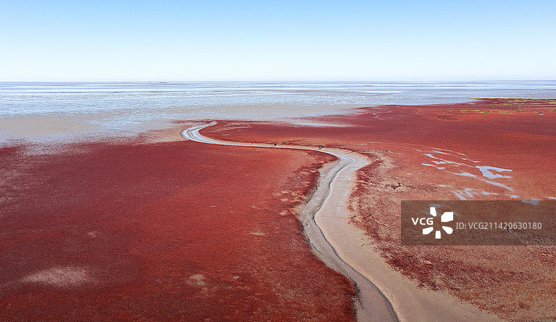 盘锦红海滩，红色的湿地的航拍视角图片素材