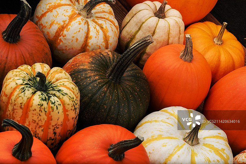 市场上的南瓜高角度照片图片素材