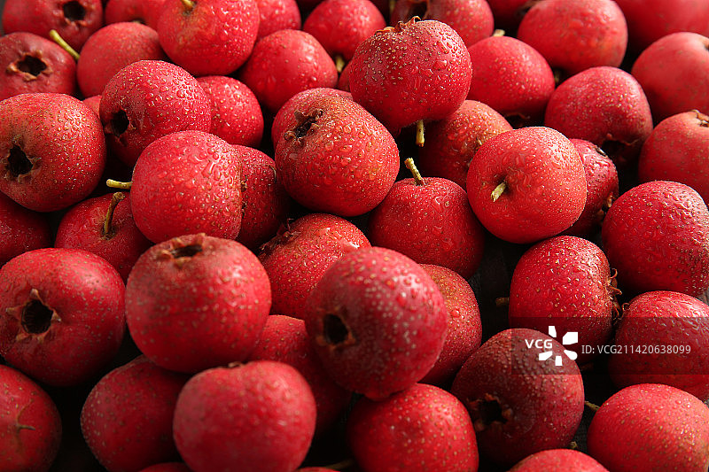 山楂果图片素材