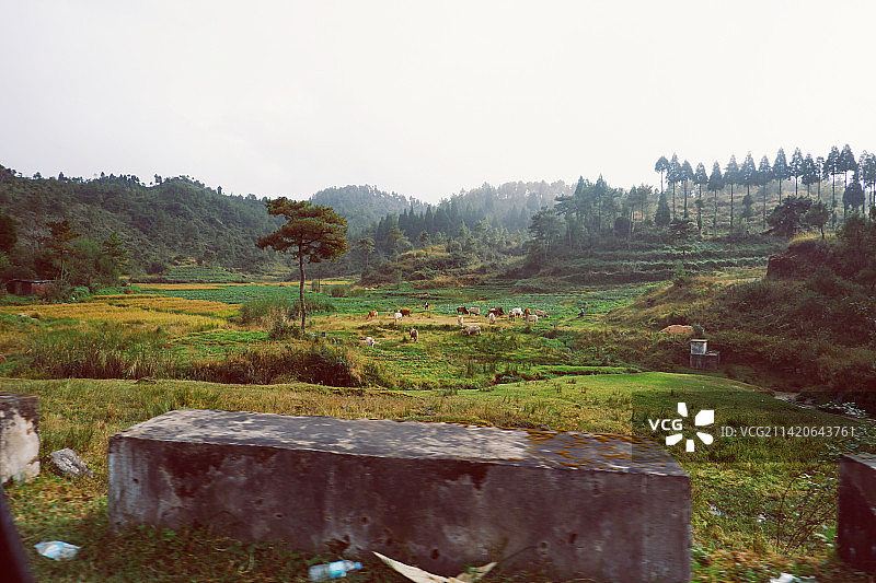 梅加拉亚邦的晴空下的风景图片素材