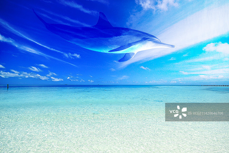 在印度尼西亚天空游泳的美丽鲸鱼图片素材