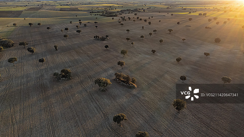西班牙瓜达拉哈拉布里韦加的土地高角度视图图片素材