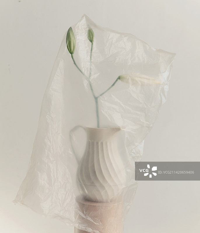 委内瑞拉加拉加斯白色背景上塑料袋包裹的塑料特写图片素材