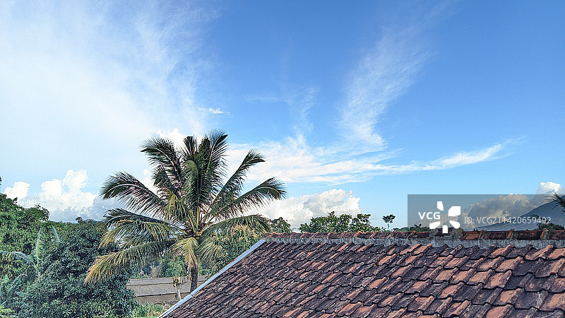 低角度拍摄的棕榈树和建筑物，加鲁特，西爪哇，印度尼西亚图片素材