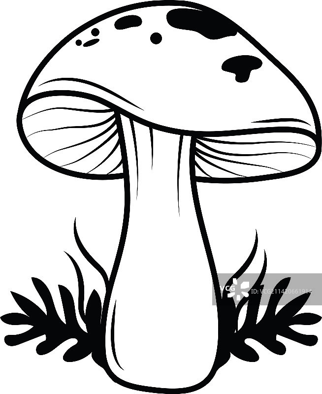 牛肝菌图标图片素材